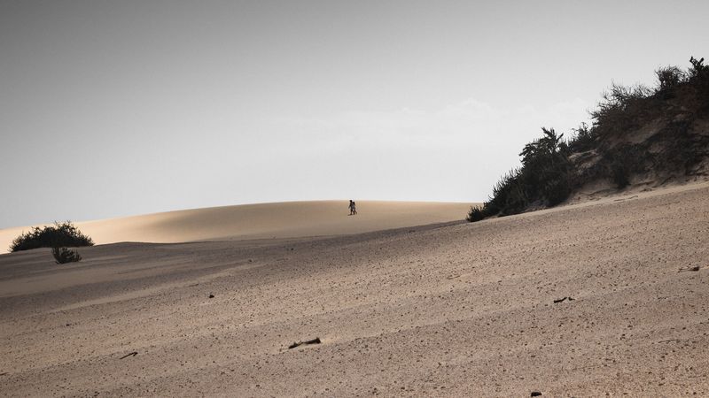 desert, sand, landscape, hilly, silhouettes, 4k