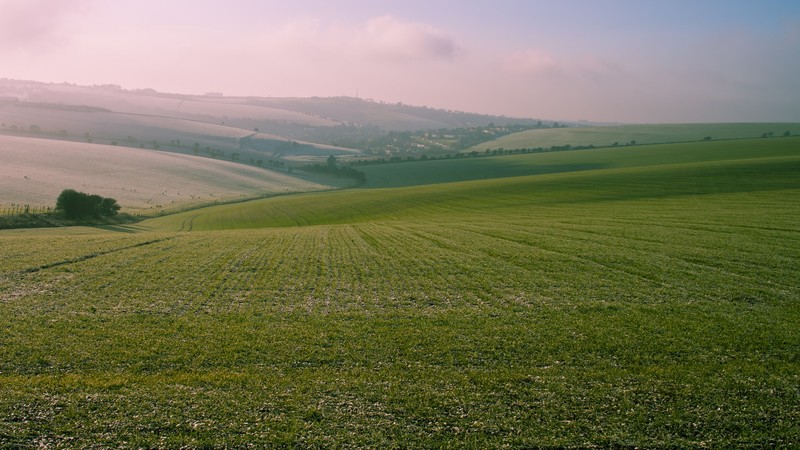 landscape, photography, field, farm