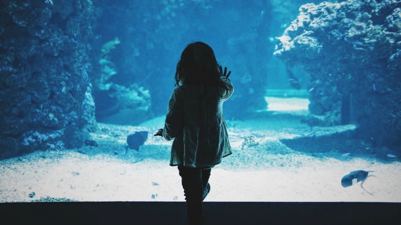 child, aquarium, back, dark, touch, 4k