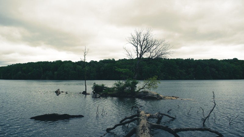 nature, island, outdoors, water, trees