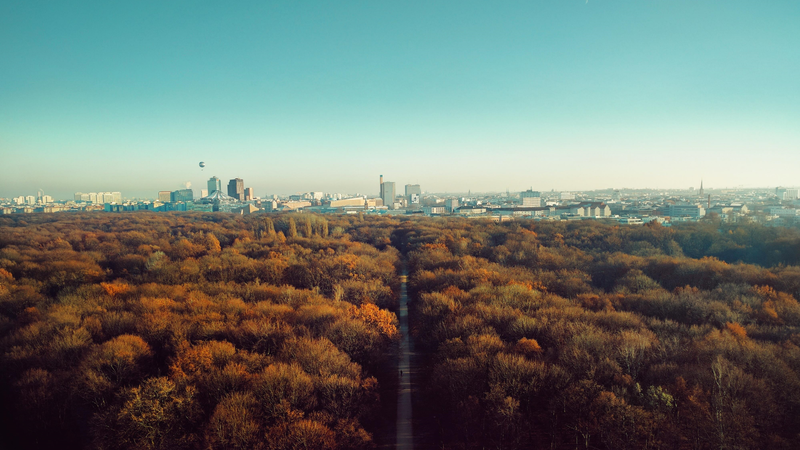 Berlin, fall, cityscape, Germany, road, hot air balloons, clear sky, building, capital, trees, forest