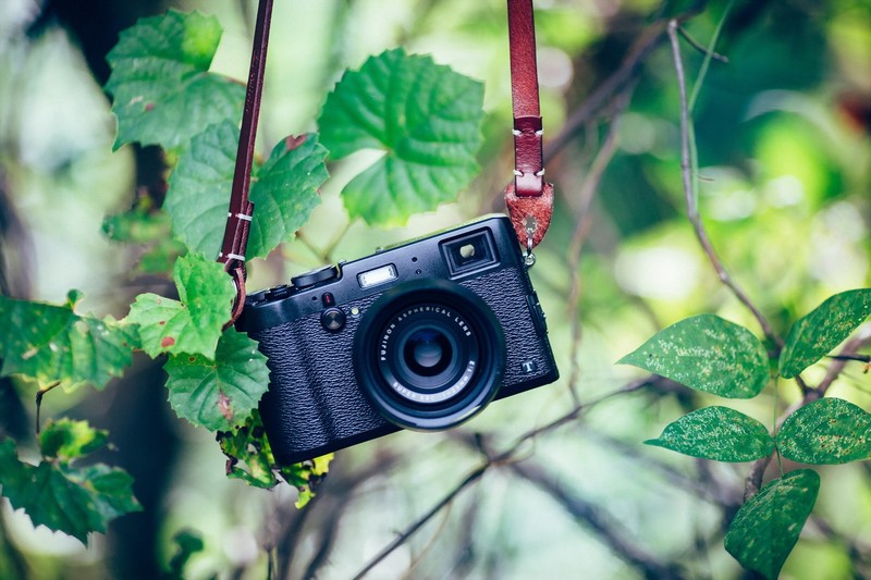 plants, camera, leaves, technology, twigs