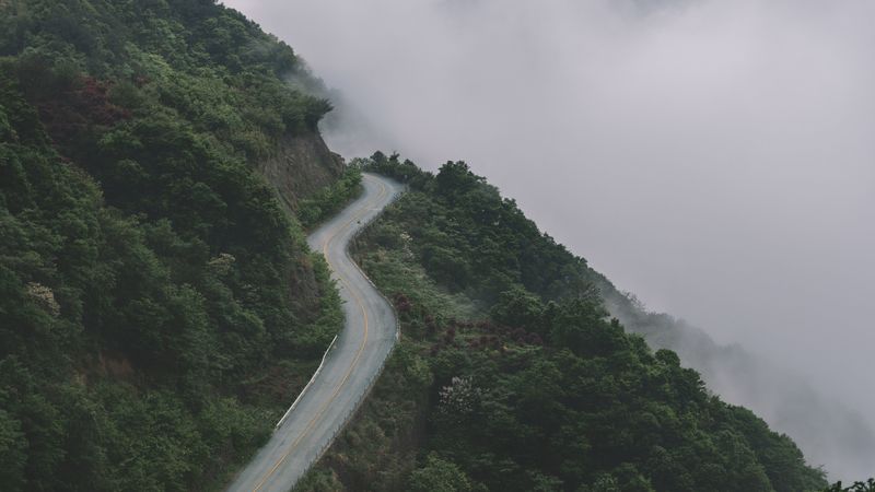 mountains, road, fog, forest, slope, height, 4k