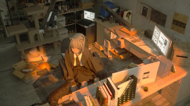 anime girls, computer, desk, cat girl, cats, paper, indoors, anime