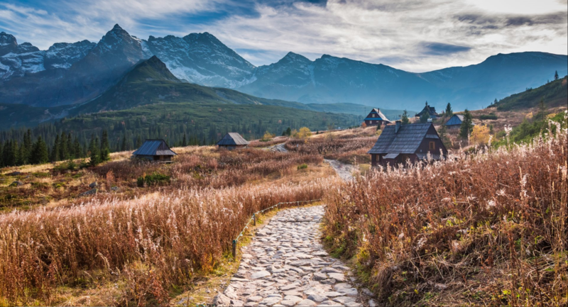 mountains, plants, outdoors