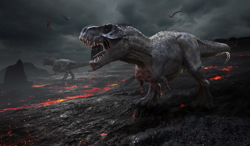 creature, animals, dinosaurs, digital art, lava, nature, Tyrannosaurus rex, Pteranodon