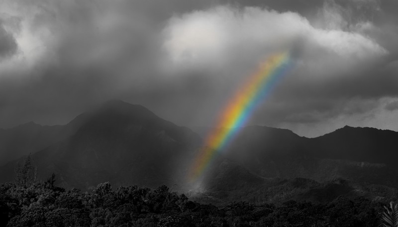 rainbows, trees, landscape, photography, clouds, mist, monochrome, selective coloring, low saturation, Hawaii