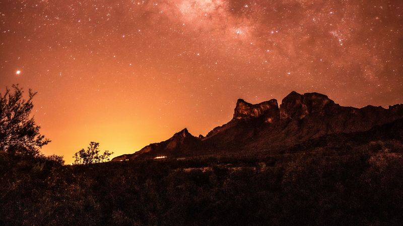 rocks, starry sky, stars, bushes, 4k