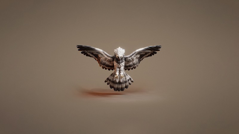 onslaught, birds, wings, fantasy art, 3D graphics, sculpt, CGI