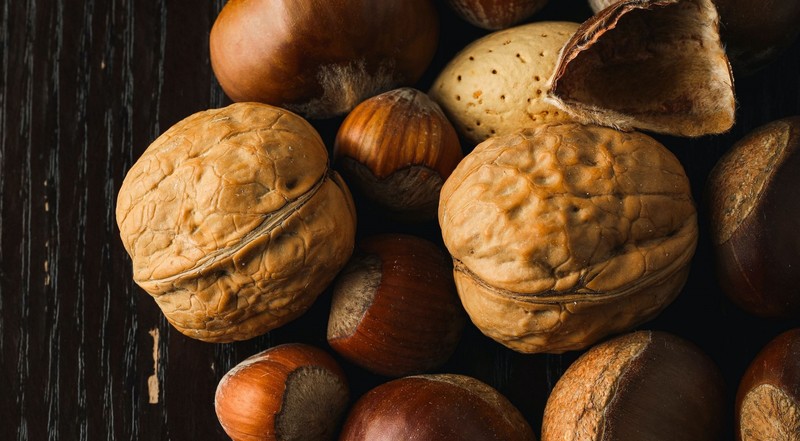 food, nuts, brown