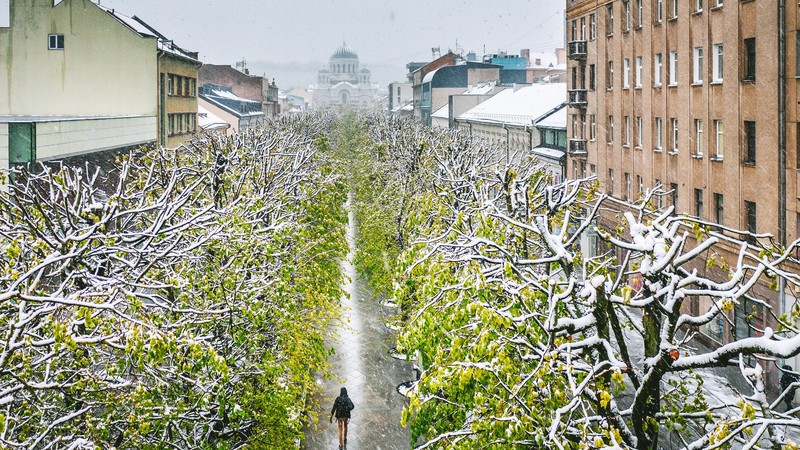 city, winter, trees, Kaunas, snowing, snow