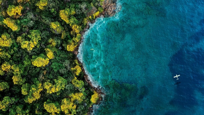 Fantasy Island, island, nature, airplane, trees