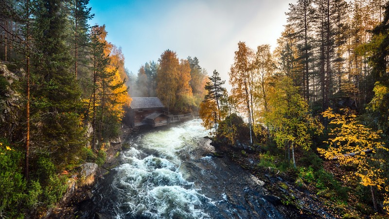 water, outdoors, river, nature, Finland, trees, fall, mist, morning