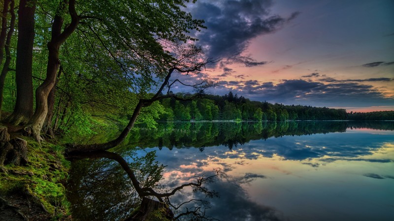 outdoors, nature, water, trees, plants, sky
