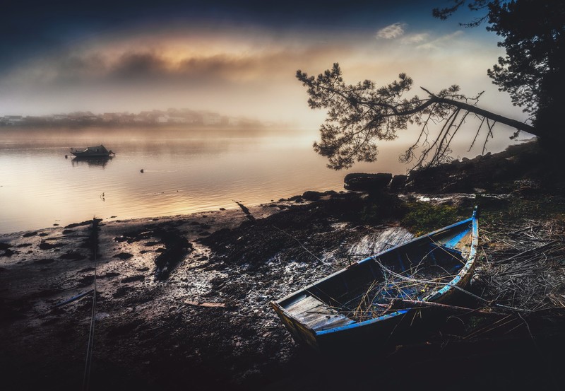 dark, boat, vehicle, mud, dirt, nature, outdoors, water