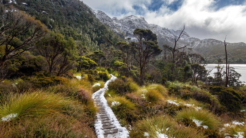 nature, outdoors, landscape, plants, Tasmania, snow, snowy peak