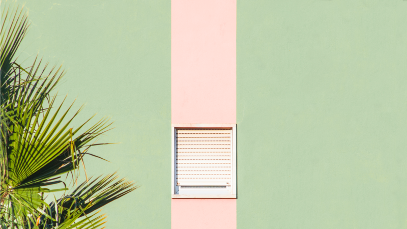 Matthieu Venot, green, palm trees, window