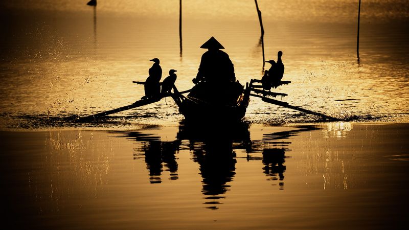 boat, silhouette, dark, river, oars, birds, reflection, 4k