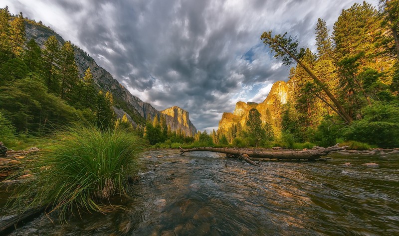 nature, outdoors, river, water, plants, USA, California