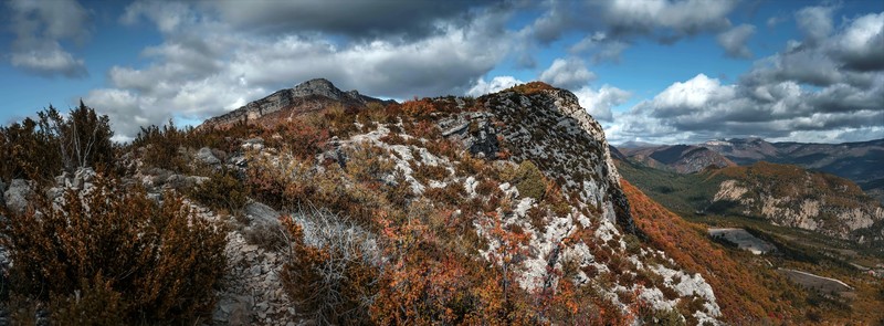 plants, outdoors, landscape, nature, rock