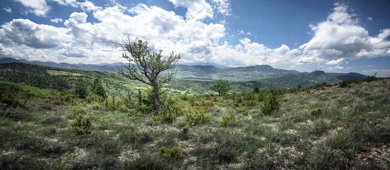 nature, landscape, panorama, sky, plants, clouds