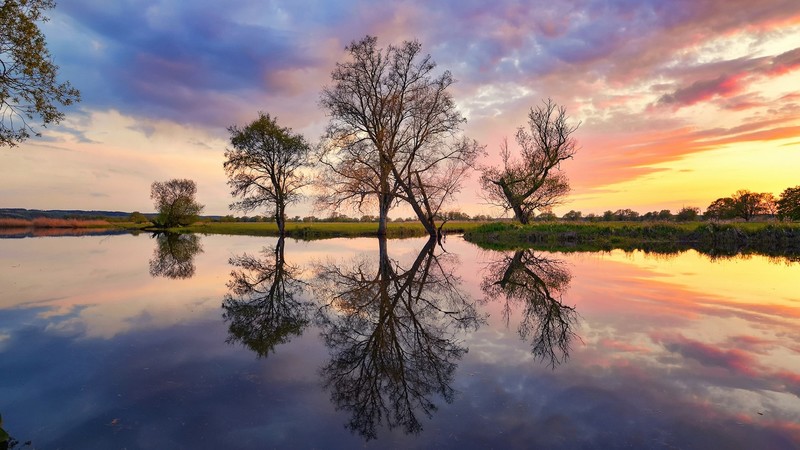 Poland, lake, trees, reflection, nature