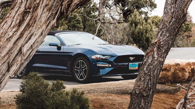 ford mustang, ford, car, convertible, blue, trees, branches, 4k