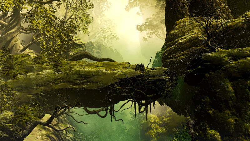 landscape, painting, realism, rock, trees, fog, stones, roots, 4k