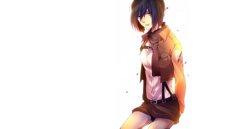 anime, Attack on Titans, Shingeki no Kyojin