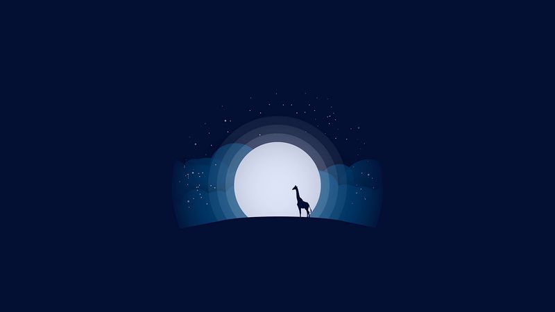 moon, giraffe, hill, clouds, shine, vector, 4k