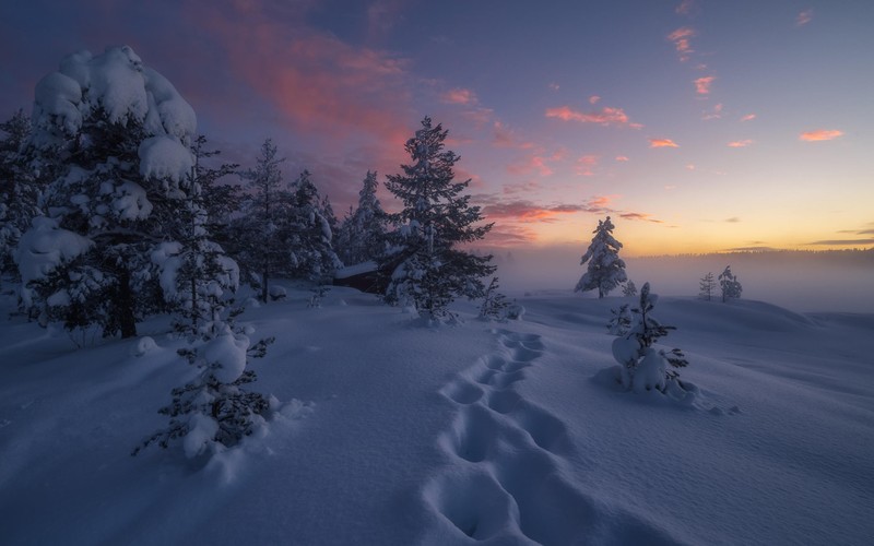 winter, snow, nature, sunset