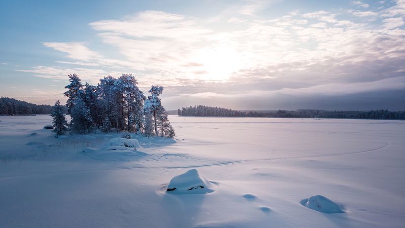 trees, landscape, snow, winter, glade, 4k