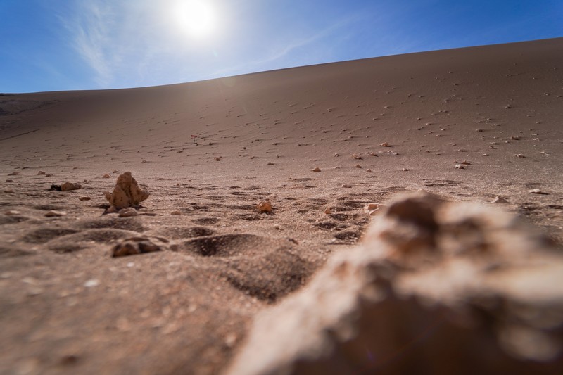 Chile, desert, landscape, sand, stones, nature