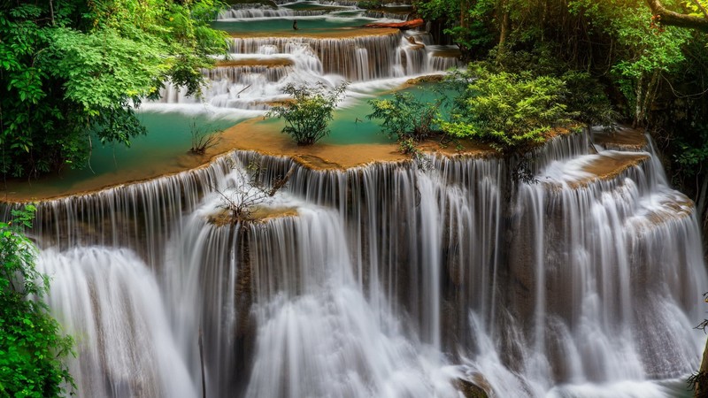 landscape, nature, river, forest