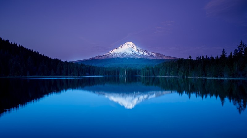 landscape, mountains, lake, forest, nature, reflection