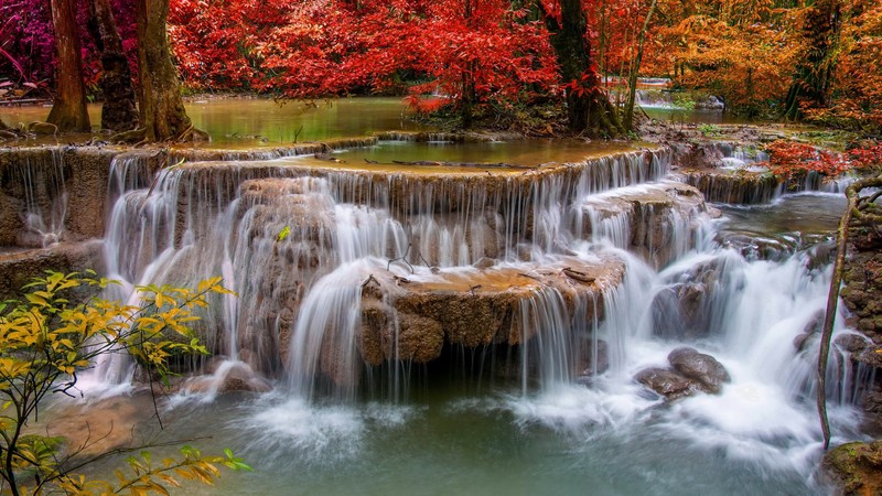 landscape, nature, river, forest