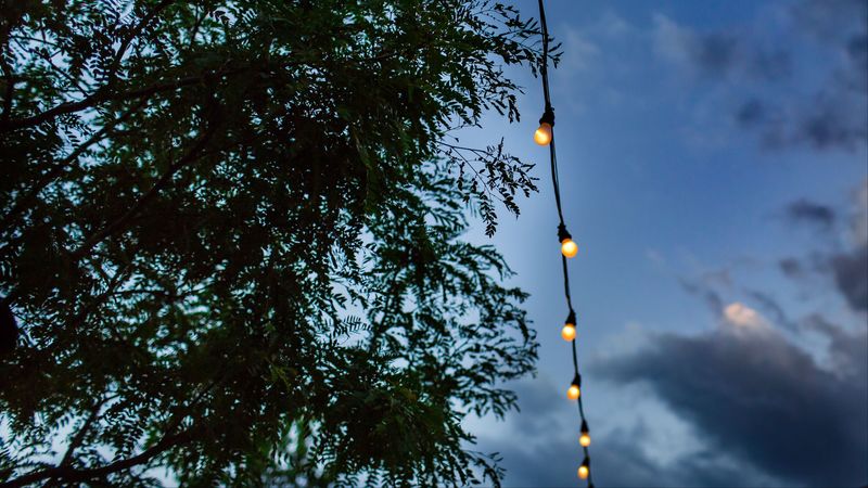 garland, light bulbs, wire, electric, branches, sky, 4k
