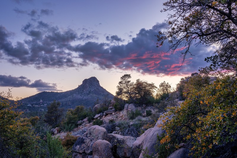 rock, outdoors, nature, plants, USA, Arizona