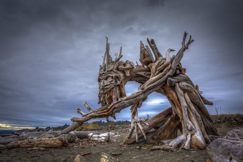 wood, outdoors, nature