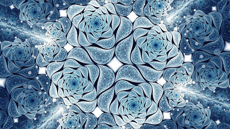 flowers, fractal, artwork, digital art