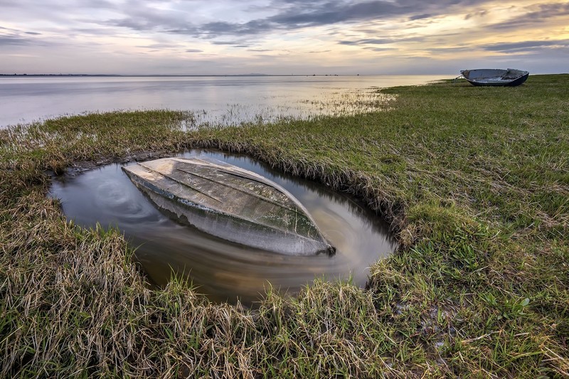 coast, plants, outdoors, vehicle, boat