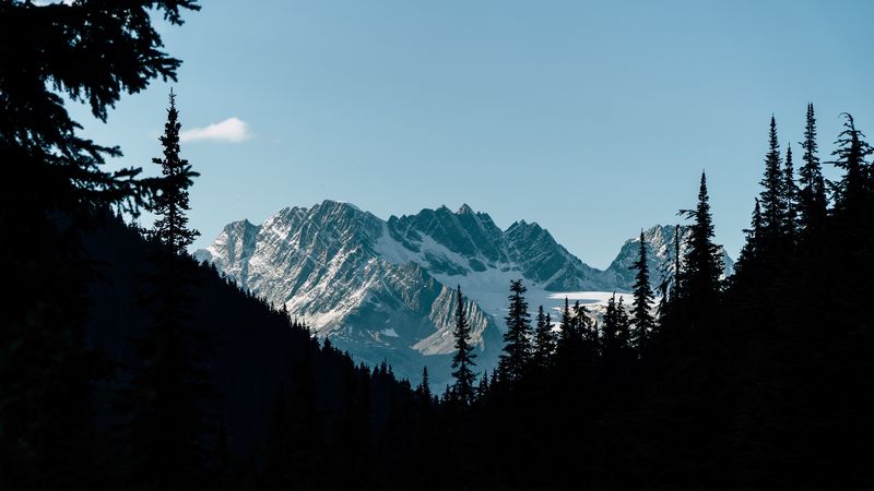 mountains, forest, shadow, contrast, dark, 4k
