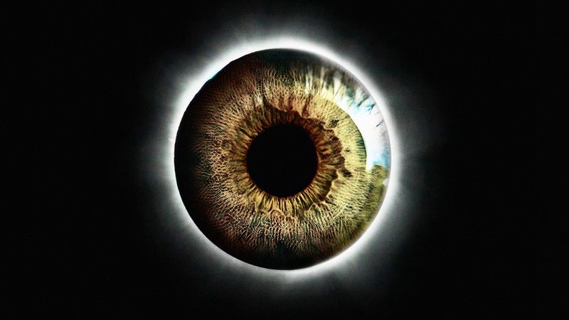 eye, pupil, realistic, green, round, 4k