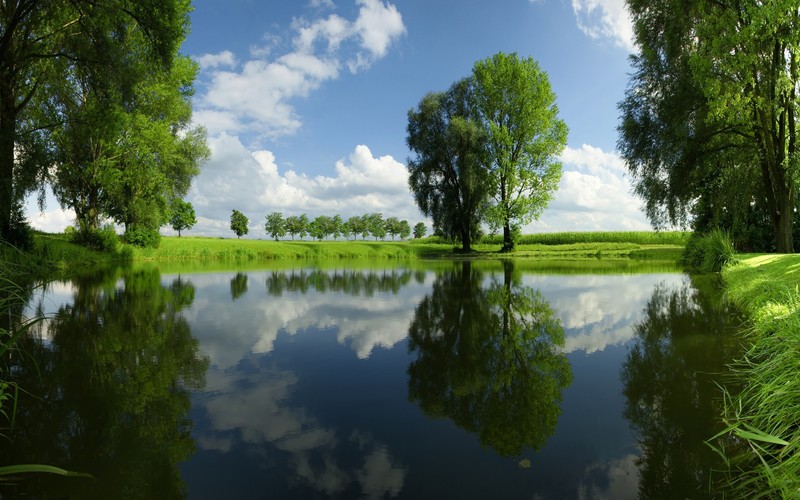 lake, summer, grass, rural