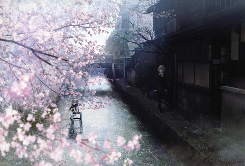 animation, anime, anime girls, cherry blossom, town, water