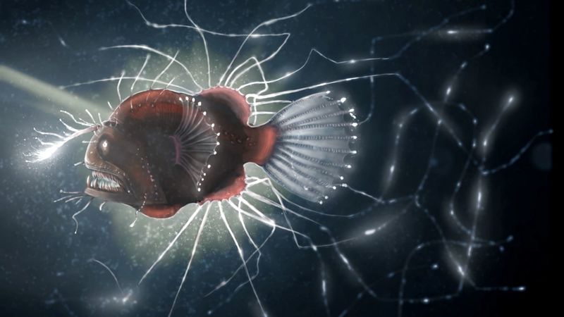 fish, electric, glowing, predator, toothy, depth, 4k