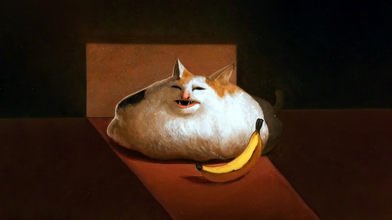 cats, memes, bananas