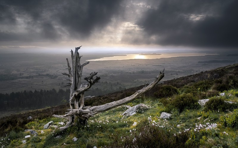 landscape, wood, sky, clouds, nature