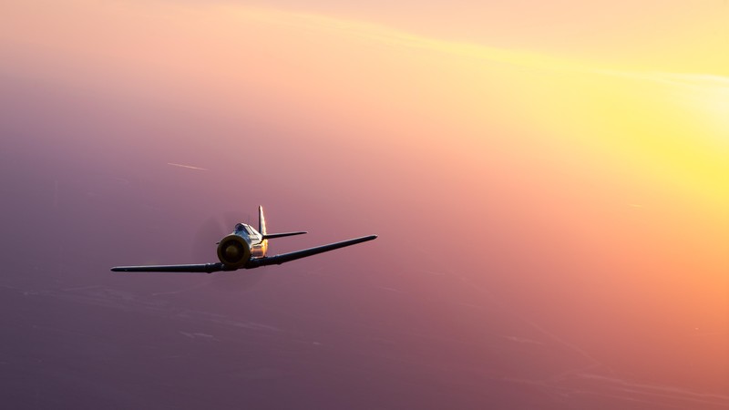 warplanes, US Air Force, military aircraft, aircraft, T-6 Texan