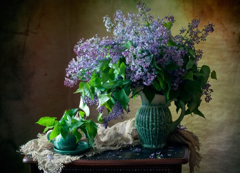 still life, vases, flowers, plants